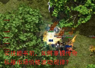 买技能书前,如何掌握传奇私服市场价格波动规律? 买技能书前,如何掌握传奇私服市场价格波动规律?