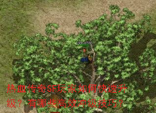 热血传奇SF玩家如何快速升级?有哪些高效冲级技巧? 热血传奇SF玩家如何快速升级?有哪些高效冲级技巧?