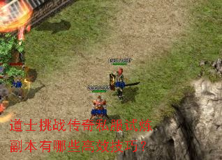 道士挑战传奇私服试炼副本有哪些高效技巧? 道士挑战传奇私服试炼副本有哪些高效技巧?