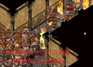 传奇钳虫多少级可以招募?招募条件及方法详解 传奇钳虫多少级可以招募?招募条件及方法详解