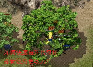 如何快速提升传奇私服新区角色战力? 如何快速提升传奇私服新区角色战力?