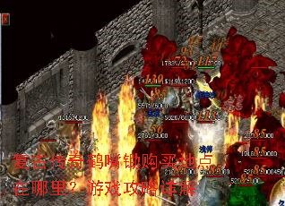 复古传奇鹤嘴锄购买地点在哪里?游戏攻略详解 复古传奇鹤嘴锄购买地点在哪里?游戏攻略详解