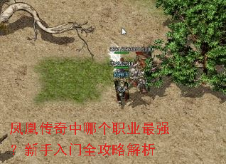 ��˴������ĸ�ְҵ��ǿ����������ȫ���Խ���