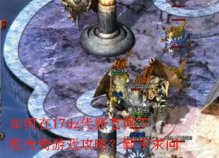 如何在17dz代账官网下载传奇游戏攻略?新手求问 如何在17dz代账官网下载传奇游戏攻略?新手求问