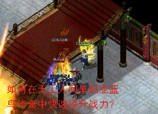 如何在天上人间单职业蓝鸟传奇中快速提升战力? 如何在天上人间单职业蓝鸟传奇中快速提升战力?