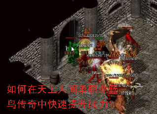 如何在天上人间单职业蓝鸟传奇中快速提升战力? 如何在天上人间单职业蓝鸟传奇中快速提升战力?