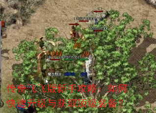 传奇飞飞版新手攻略:如何快速升级与获取顶级装备? 传奇飞飞版新手攻略:如何快速升级与获取顶级装备?