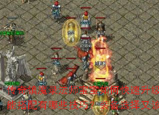 传奇镇魔录法师宝宝如何快速升级与培养?技能搭配有哪些技巧?装备选择又该注意什么? 传奇镇魔录法师宝宝如何快速升级与培养?技能搭配有哪些技巧?装备选择又该注意什么?