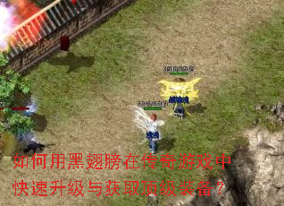 如何用黑翅膀在传奇游戏中快速升级与获取顶级装备? 如何用黑翅膀在传奇游戏中快速升级与获取顶级装备?