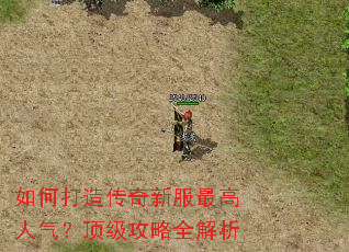 如何打造传奇新服最高人气?顶级攻略全解析 如何打造传奇新服最高人气?顶级攻略全解析