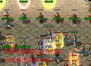 如何快速提升冷月传奇天地情缘角色等级? 如何快速提升冷月传奇天地情缘角色等级?