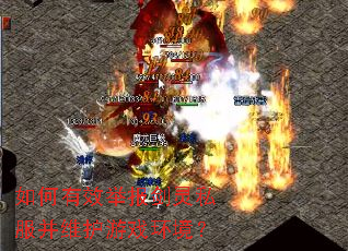 如何有效举报剑灵私服并维护游戏环境? 如何有效举报剑灵私服并维护游戏环境?