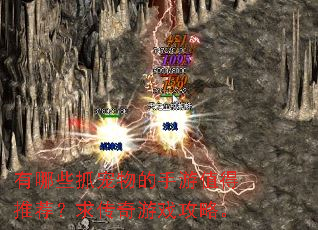 有哪些抓宠物的手游值得推荐?求传奇游戏攻略。 有哪些抓宠物的手游值得推荐?求传奇游戏攻略。