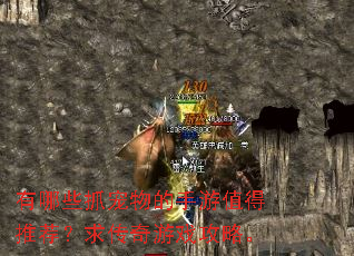 有哪些抓宠物的手游值得推荐?求传奇游戏攻略。 有哪些抓宠物的手游值得推荐?求传奇游戏攻略。