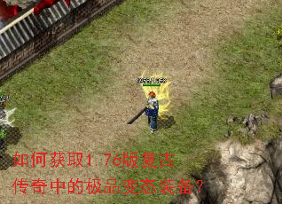 ��λ�ȡ1.76�渴�Ŵ����еļ�Ʒ��̬װ����