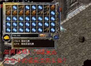 ��λ�ȡ1.76�渴�Ŵ����еļ�Ʒ��̬װ����