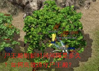 ʬ����ˢ��ʱ�����Ƕ�ã���θ�Ч����ʬ���