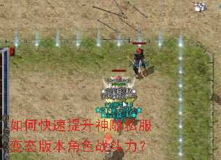 如何快速提升神雕私服变态版本角色战斗力? 如何快速提升神雕私服变态版本角色战斗力?
