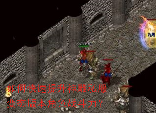 如何快速提升神雕私服变态版本角色战斗力? 如何快速提升神雕私服变态版本角色战斗力?