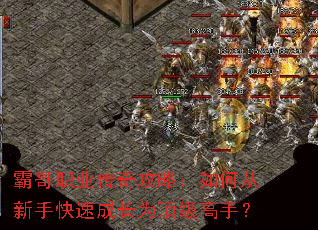 霸哥职业传奇攻略:如何从新手快速成长为顶级高手? 霸哥职业传奇攻略:如何从新手快速成长为顶级高手?