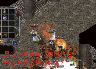 晨鸣烧鸡传奇:如何快速升级与获取稀有装备? 晨鸣烧鸡传奇:如何快速升级与获取稀有装备?