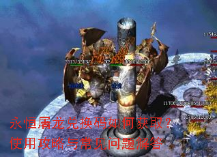 ���������һ�����λ�ȡ��ʹ�ù����볣��������
