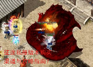 ��;˽���汾���������빥��ָ�ϣ�