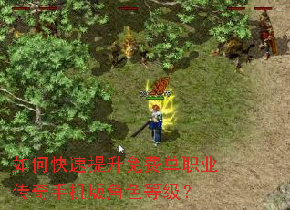 如何快速提升免费单职业传奇手机版角色等级? 如何快速提升免费单职业传奇手机版角色等级?