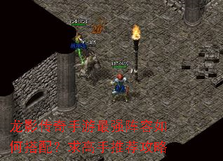 龙影传奇手游最强阵容如何搭配?求高手推荐攻略 龙影传奇手游最强阵容如何搭配?求高手推荐攻略