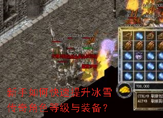 新手如何快速提升冰雪传奇角色等级与装备? 新手如何快速提升冰雪传奇角色等级与装备?