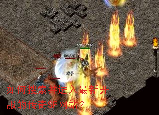 ����������������¿����Ĵ���SF��վ��