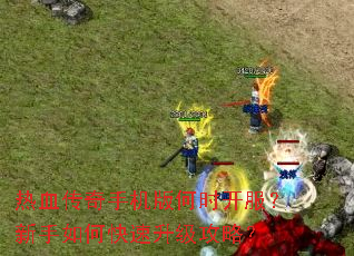 热血传奇手机版何时开服?新手如何快速升级攻略? 热血传奇手机版何时开服?新手如何快速升级攻略?