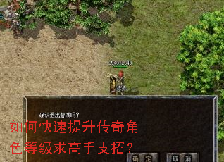 如何快速提升传奇角色等级求高手支招? 如何快速提升传奇角色等级求高手支招?