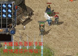 天理服务器新手如何快速提升等级? 天理服务器新手如何快速提升等级?