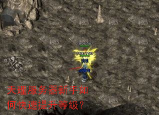 天理服务器新手如何快速提升等级? 天理服务器新手如何快速提升等级?