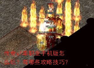 ����sf��ְҵ�ֻ�����ô�棿����Щ���Լ��ɣ�