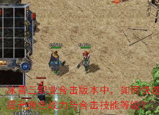 冰雪三职业合击版本中,如何快速提升角色战力与合击技能等级? 冰雪三职业合击版本中,如何快速提升角色战力与合击技能等级?