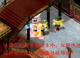 冰雪三职业合击版本中,如何快速提升角色战力与合击技能等级? 冰雪三职业合击版本中,如何快速提升角色战力与合击技能等级?