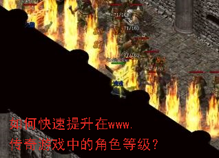 如何快速提升在www.传奇游戏中的角色等级? 如何快速提升在www.传奇游戏中的角色等级?